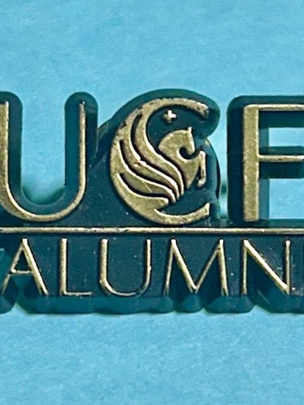 UCF Alumni Pin